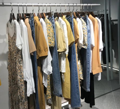DBZ獨(dú)辮子服飾2020終端形象煥新升級，定義時(shí)尚零售新風(fēng)尚